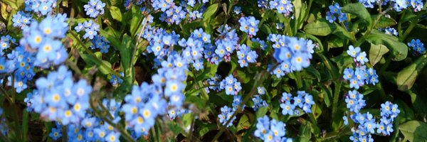 Roopalshahsmith Profile Banner