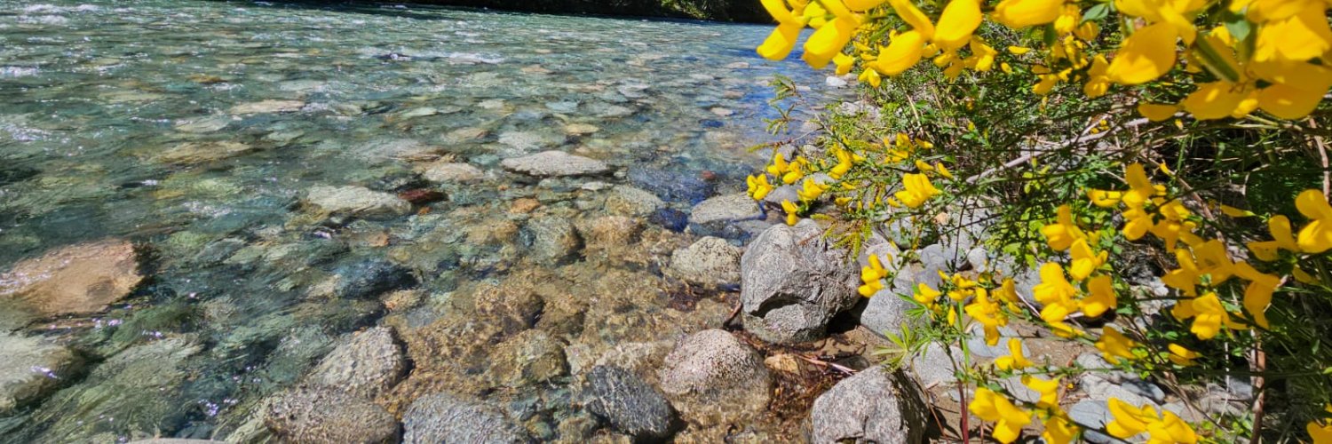 Alejandro Benitez banner