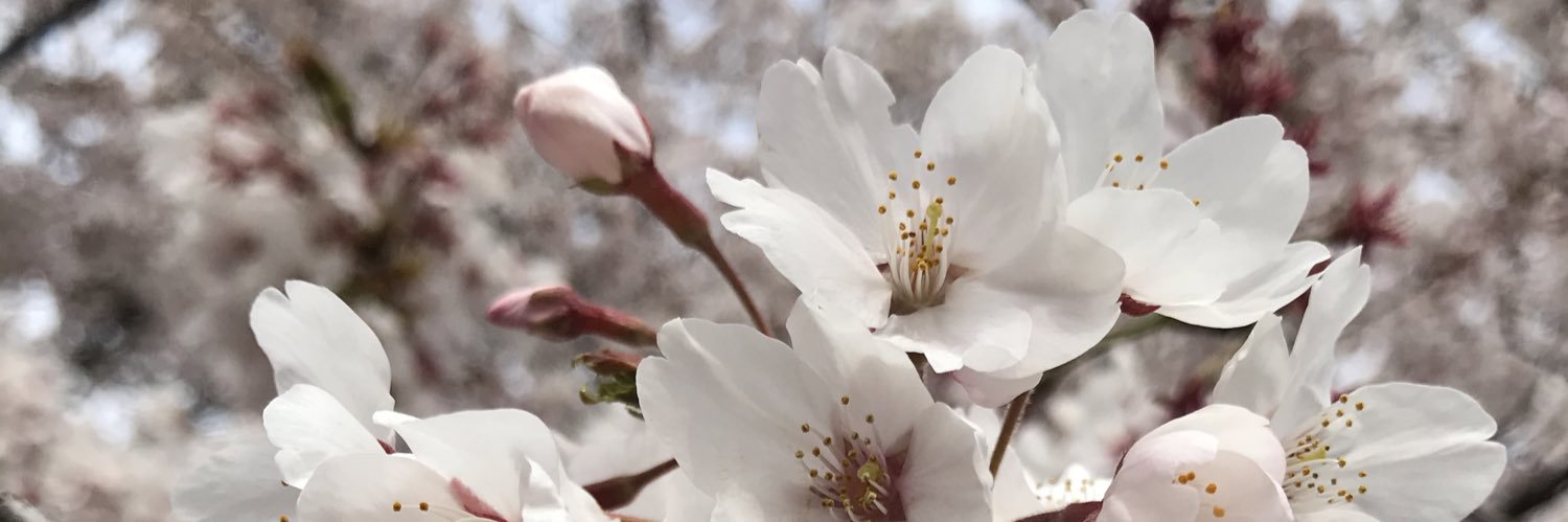 くぅ banner