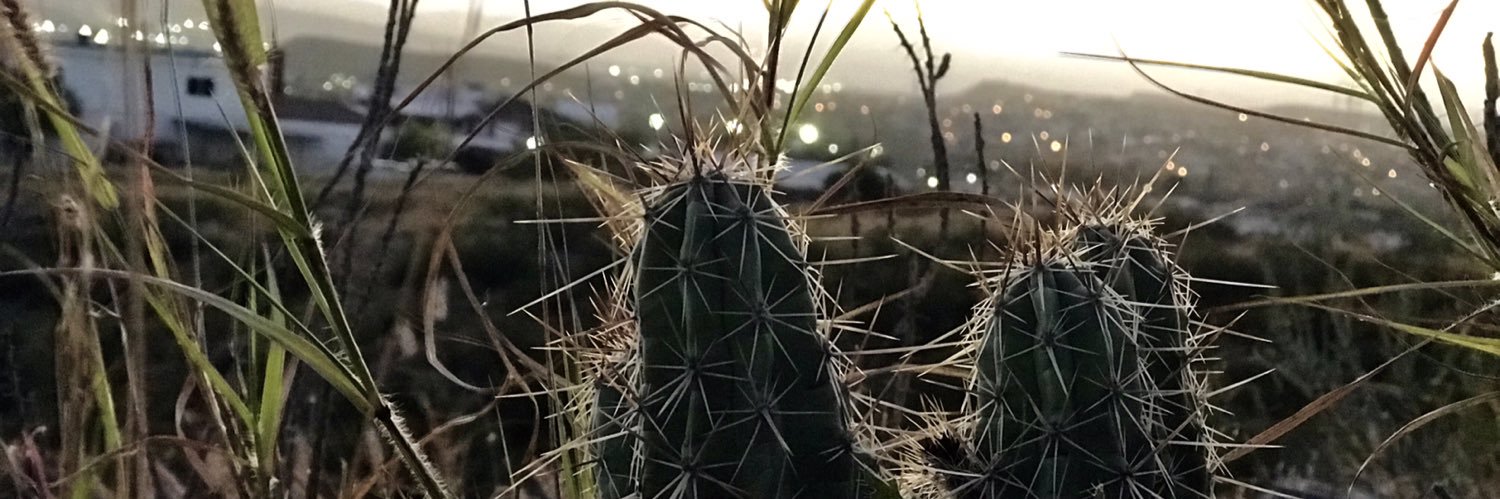 TepFelipe's profile banner image