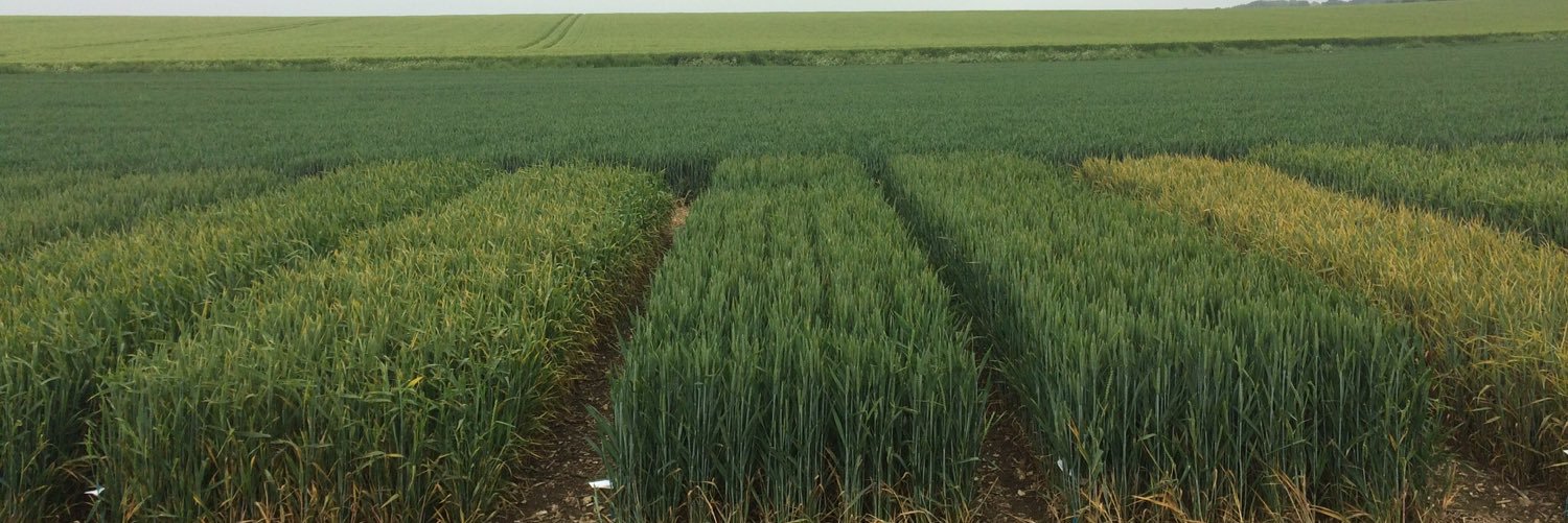 Colin Patrick banner