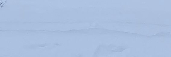 alfredcombo1's profile banner image