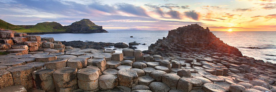 Andrew Steele banner