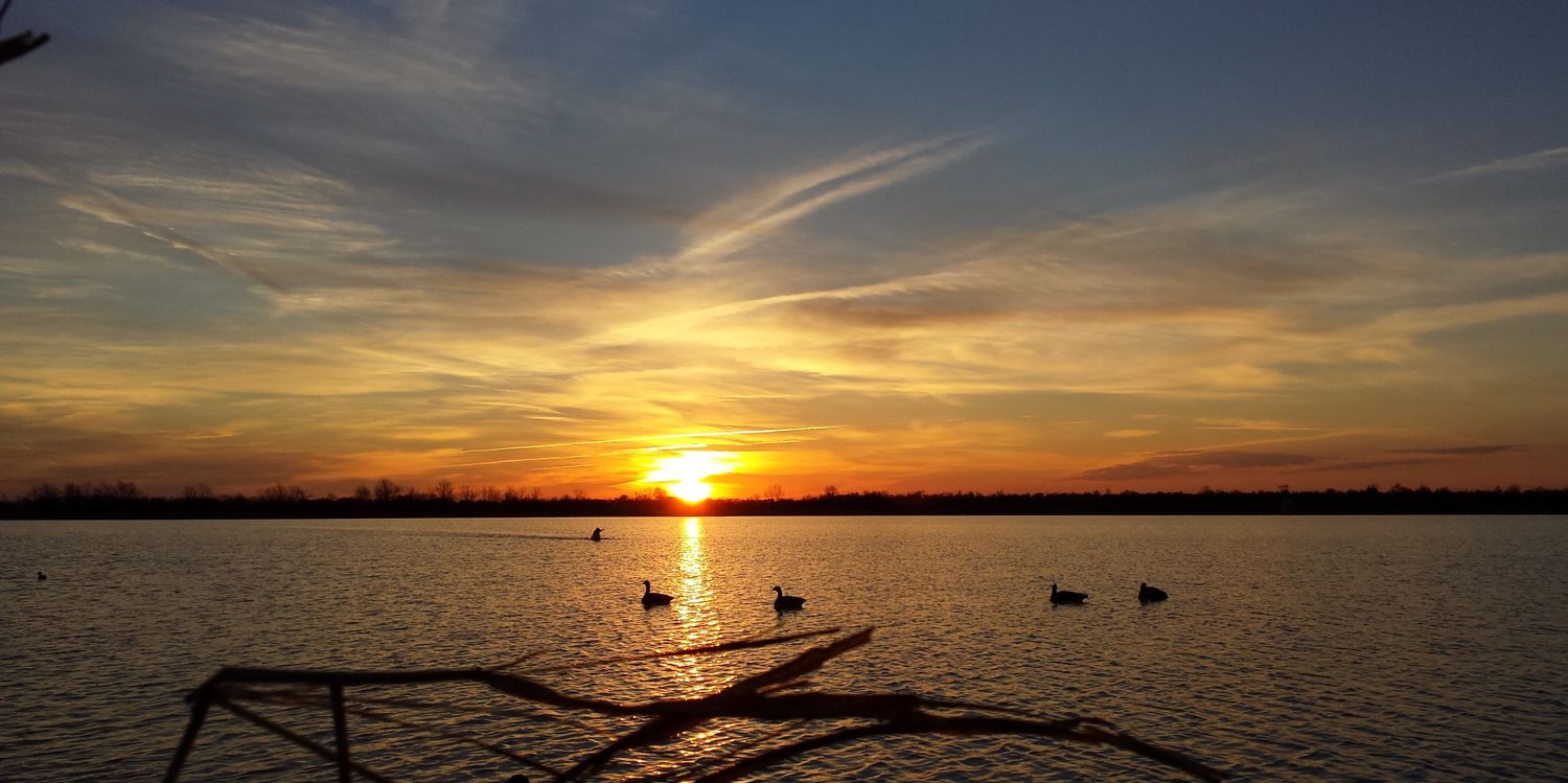 SportingDog_TV's profile banner image