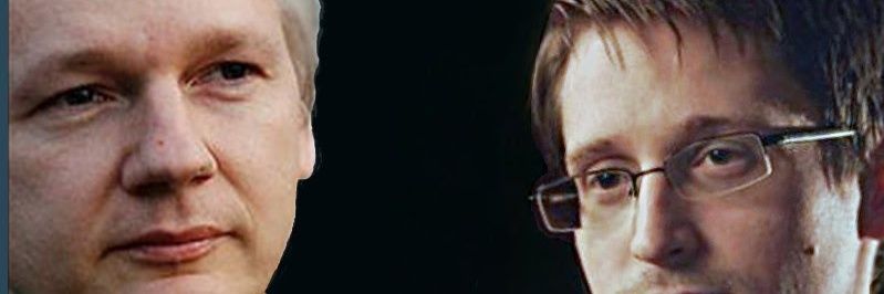 Kimwing10's profile banner image
