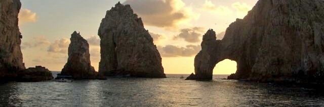 Cameloncito's profile banner image