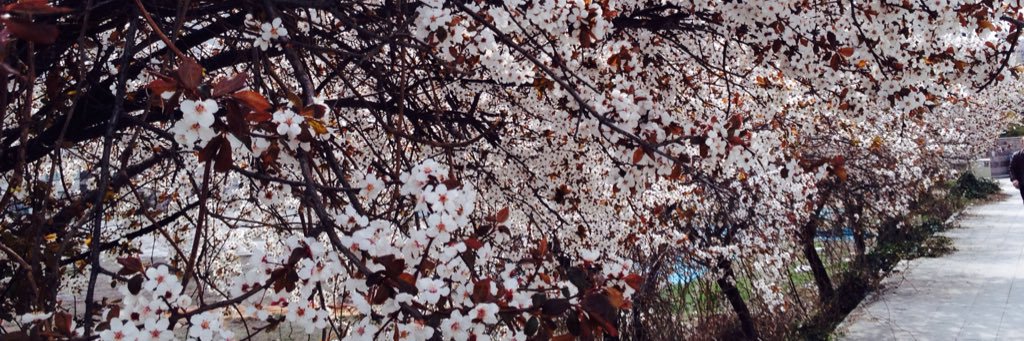aytena_'s profile banner image