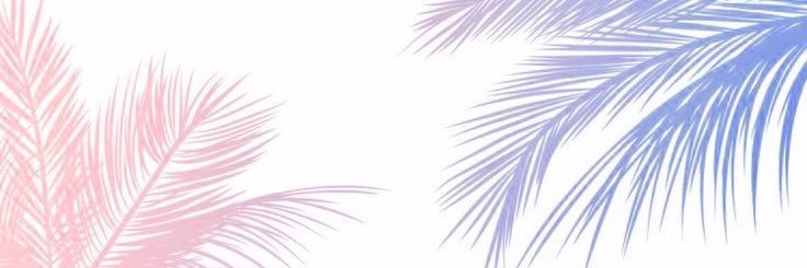 Hala_teens's profile banner image