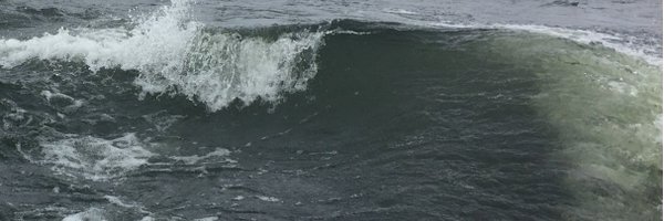 swellwakesurf Profile Banner