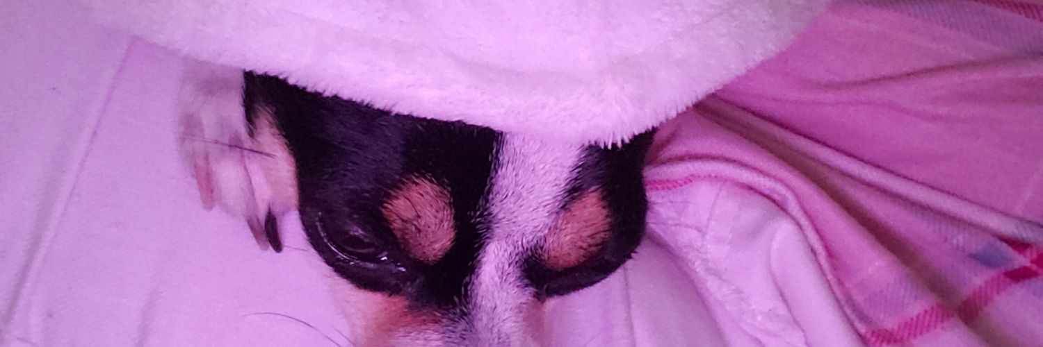 Sol_GalvanA's profile banner image