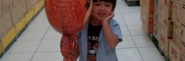 AgisKania Profile Banner