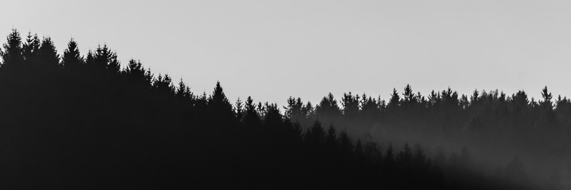 tuiteMINECRAFT's profile banner image