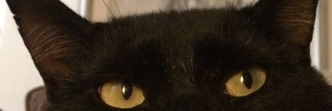 CosmoValtran's profile banner image