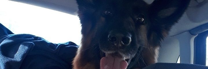 valentimaureen's profile banner image