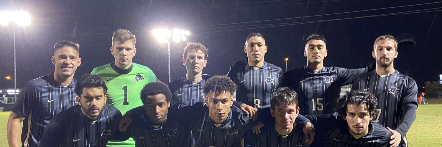 Harding Men's Soccer banner