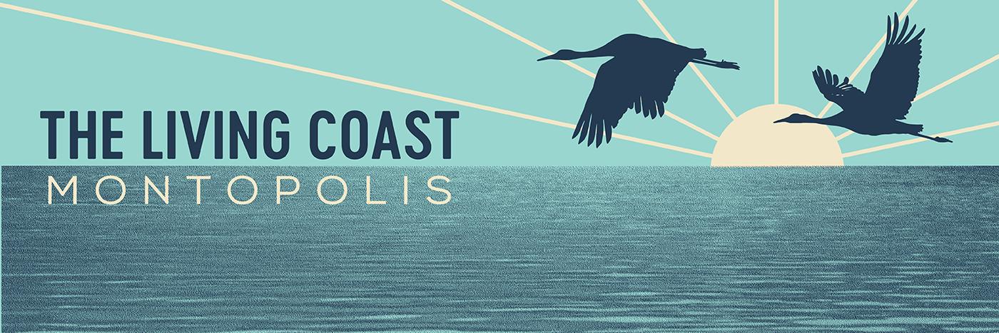 MontopolisMusic's profile banner image