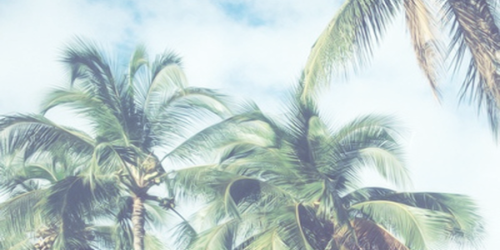 _harrjsvoice's profile banner image