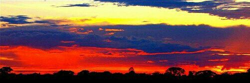 🐦🦋Jennifer ミ☆ banner