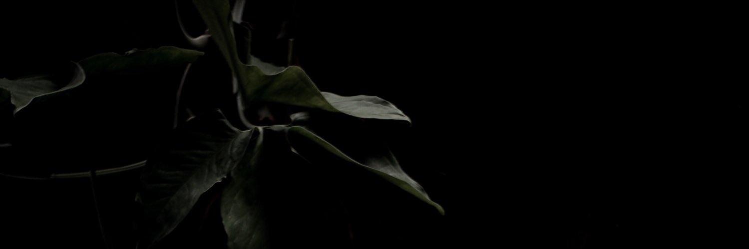 gunawanptr's profile banner image