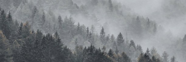 Msfwnn's profile banner image