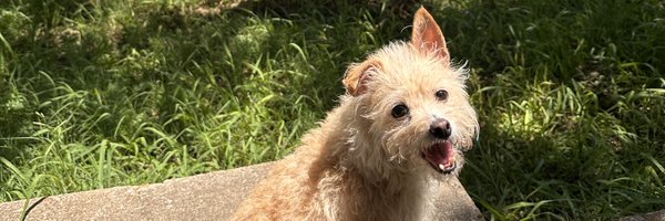 rubyyr04 Profile Banner