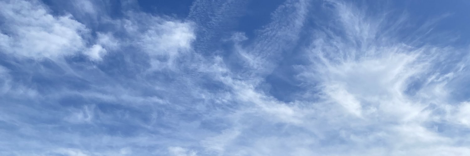 bunnymooo's profile banner image