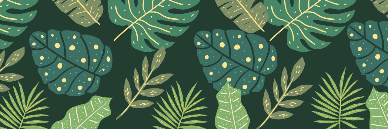 P𝓪Đᵈү 𝓚ẸⒶ𝕟έ | ᯅ 🌺 banner