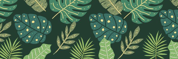 pddykn Profile Banner