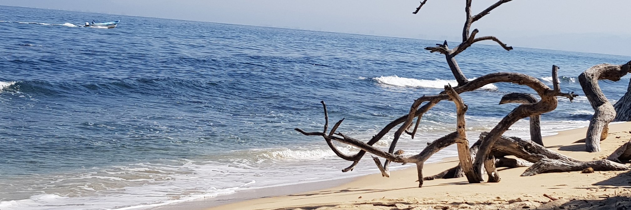 ChristianVG28's profile banner image
