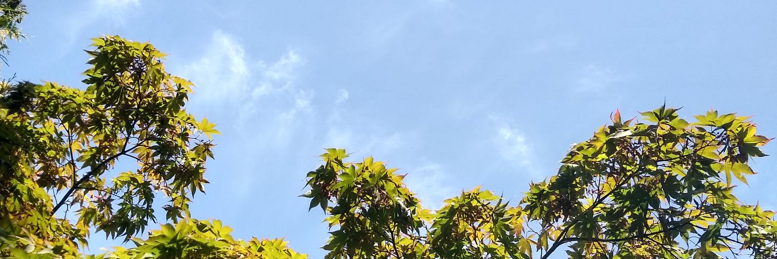 ConnorRyan1994's profile banner image