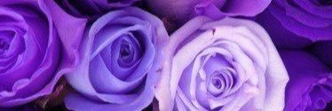 TLadyyy12's profile banner image