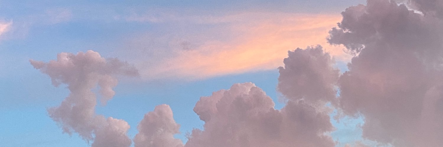 芹菜酱肉包 banner