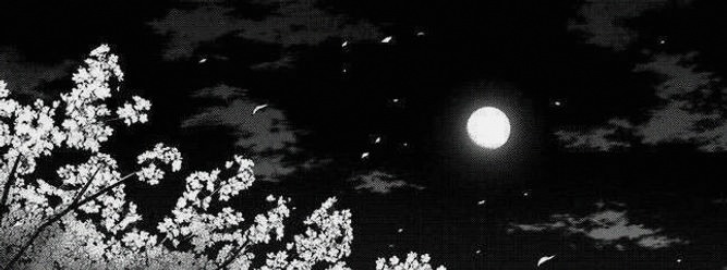 lunaprttyq's profile banner image