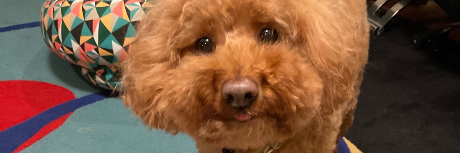 Moaners of Montecito banner