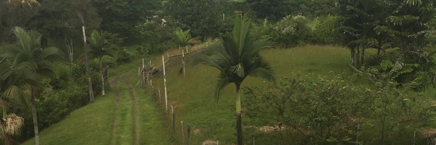 2TaulPaul's profile banner image