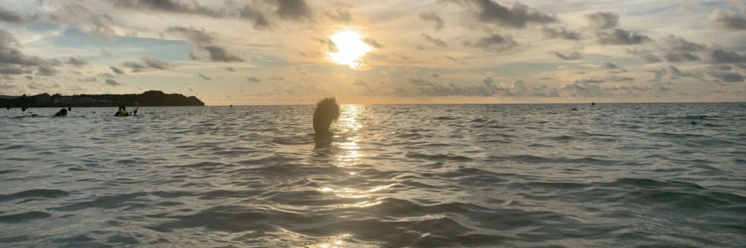 obviouslyunique's profile banner image