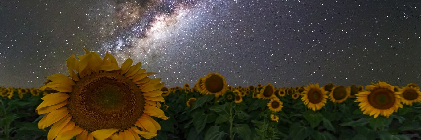 Heck On Wheels banner