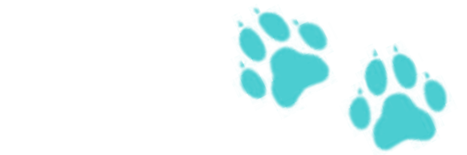 Smokonow's profile banner image