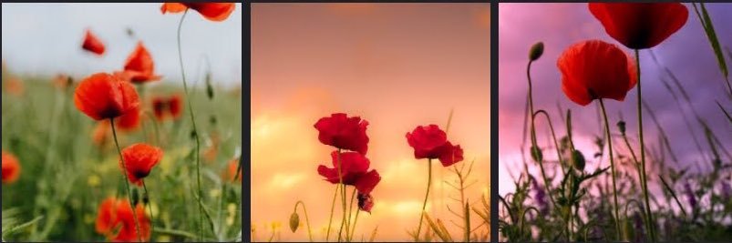 Dan_rz's profile banner image