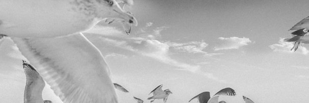 Euzebiusz Jamrozik banner