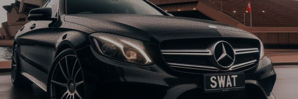 𝘚𝔢𝔫𝔞𝔱𝔬𝔯 banner