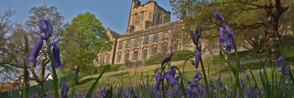 CAHPostgrad's profile banner image