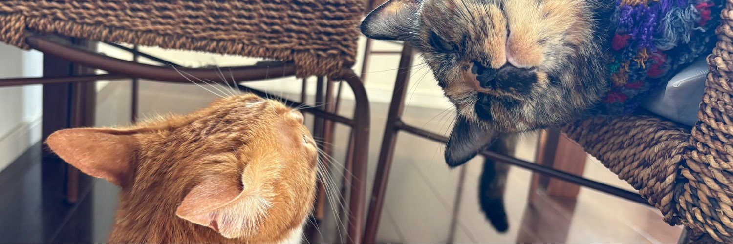 kika0314's profile banner image