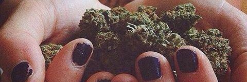 MercheeMonteroN's profile banner image