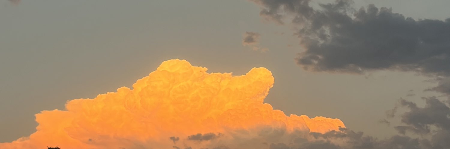 aangelsodu's profile banner image