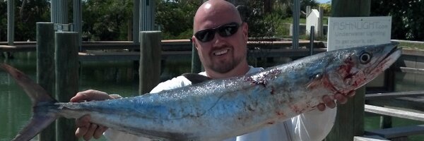 brifenech Profile Banner