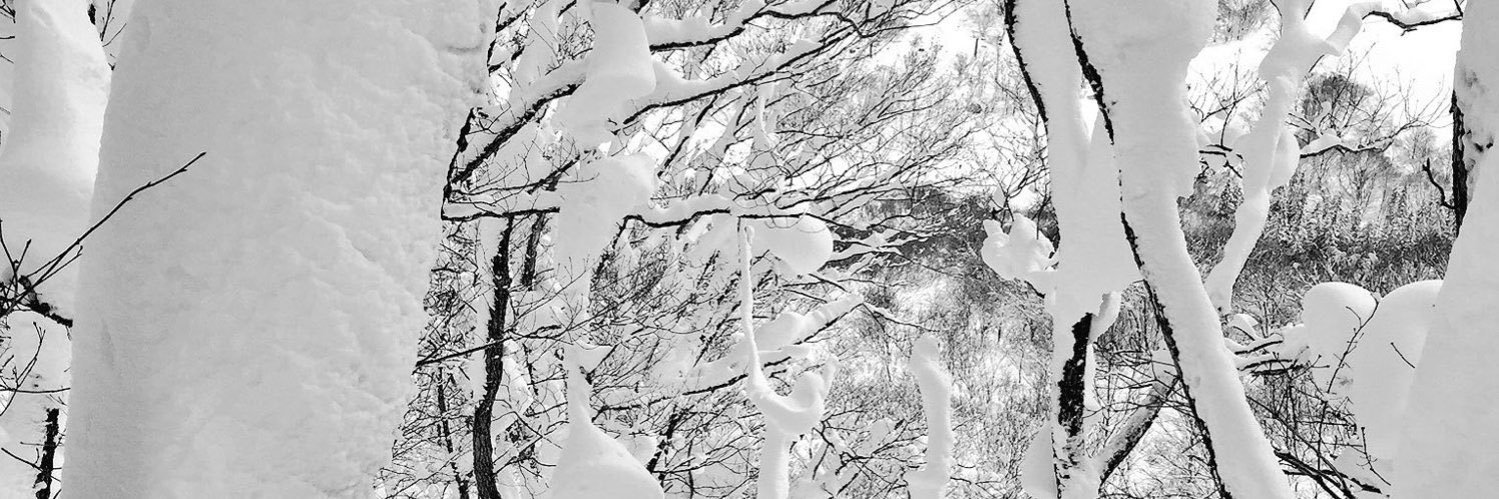 はっくさん banner