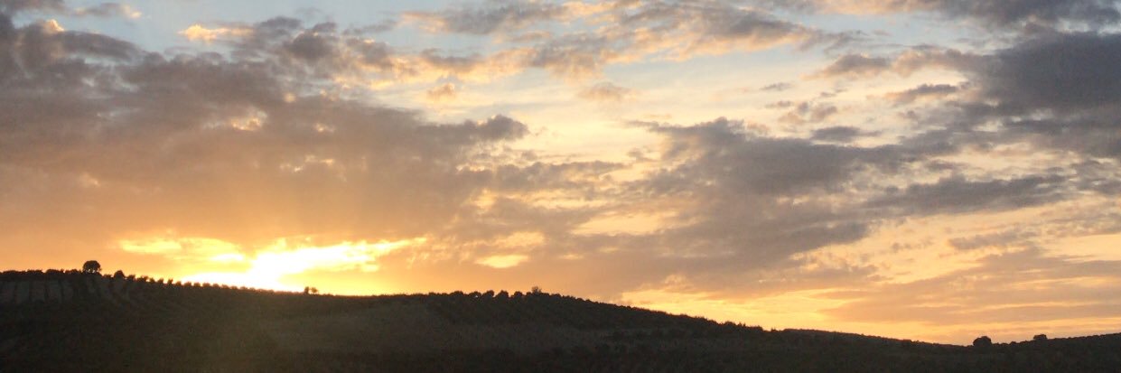 roogrcia's profile banner image