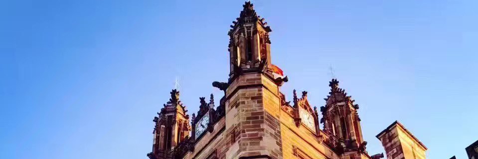 Stella88.eth ⚡️ banner