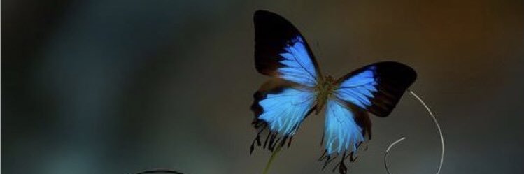 mi_N_il's profile banner image